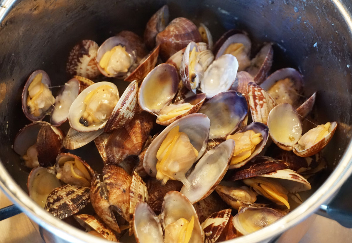 Venusmuscheln gedämpft mit Olivenöl und Knoblauch - www.hkierey.de